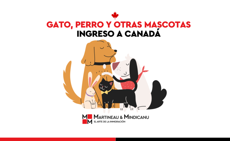 Viajar con mascotas a Canadá, importación de perros a Canadá, ingreso a canadá con mascotas