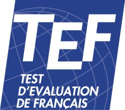 TEF-Test-dEvaluation-du-Français