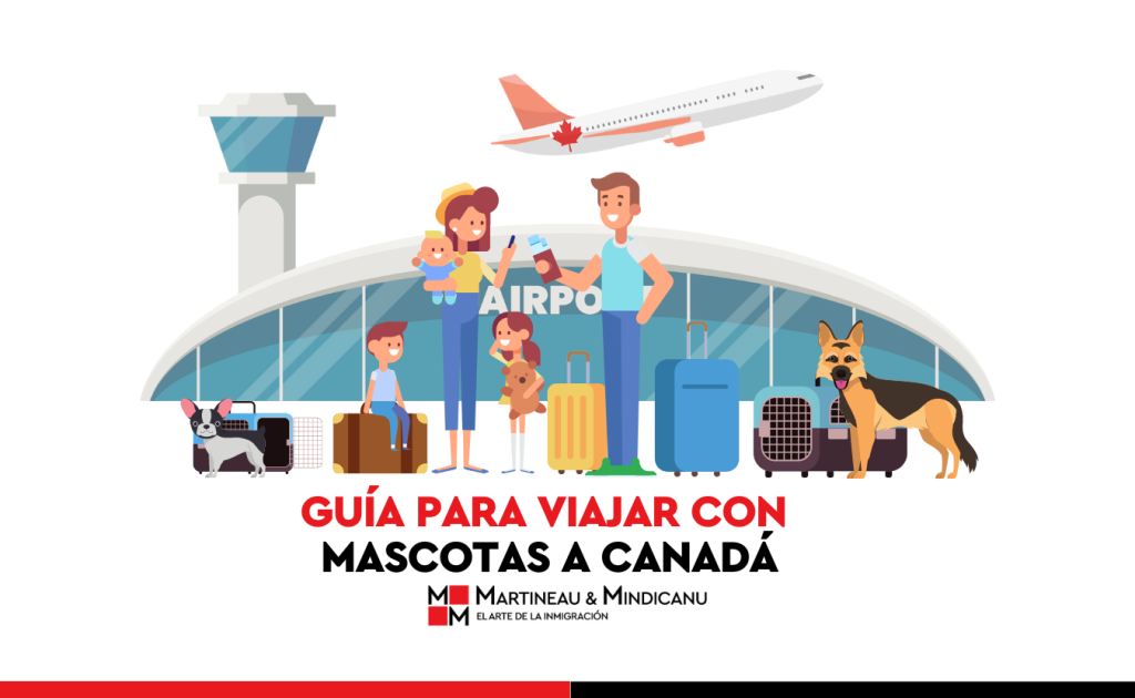 Guía para viajar con mascotas a Canadá llevar mascotas a Canadá, llevar perro a canadá, requisitos para ingresar mascotas a canadá